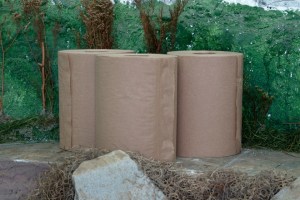 make your home green