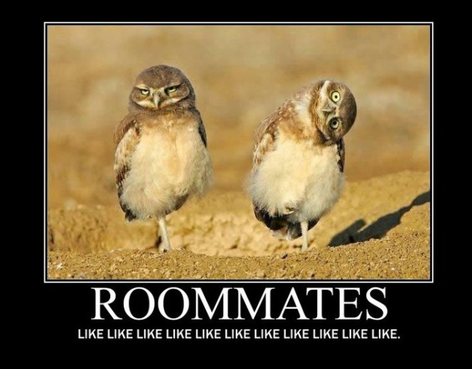 ROOMMATES-LikeLikeLikeLikeLike